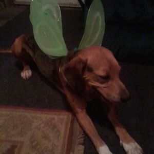 Meet your Posher, Kadence